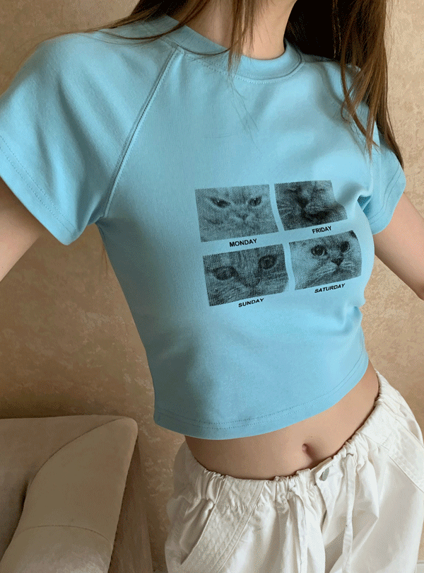 캣포토 크롭 래글런 티셔츠